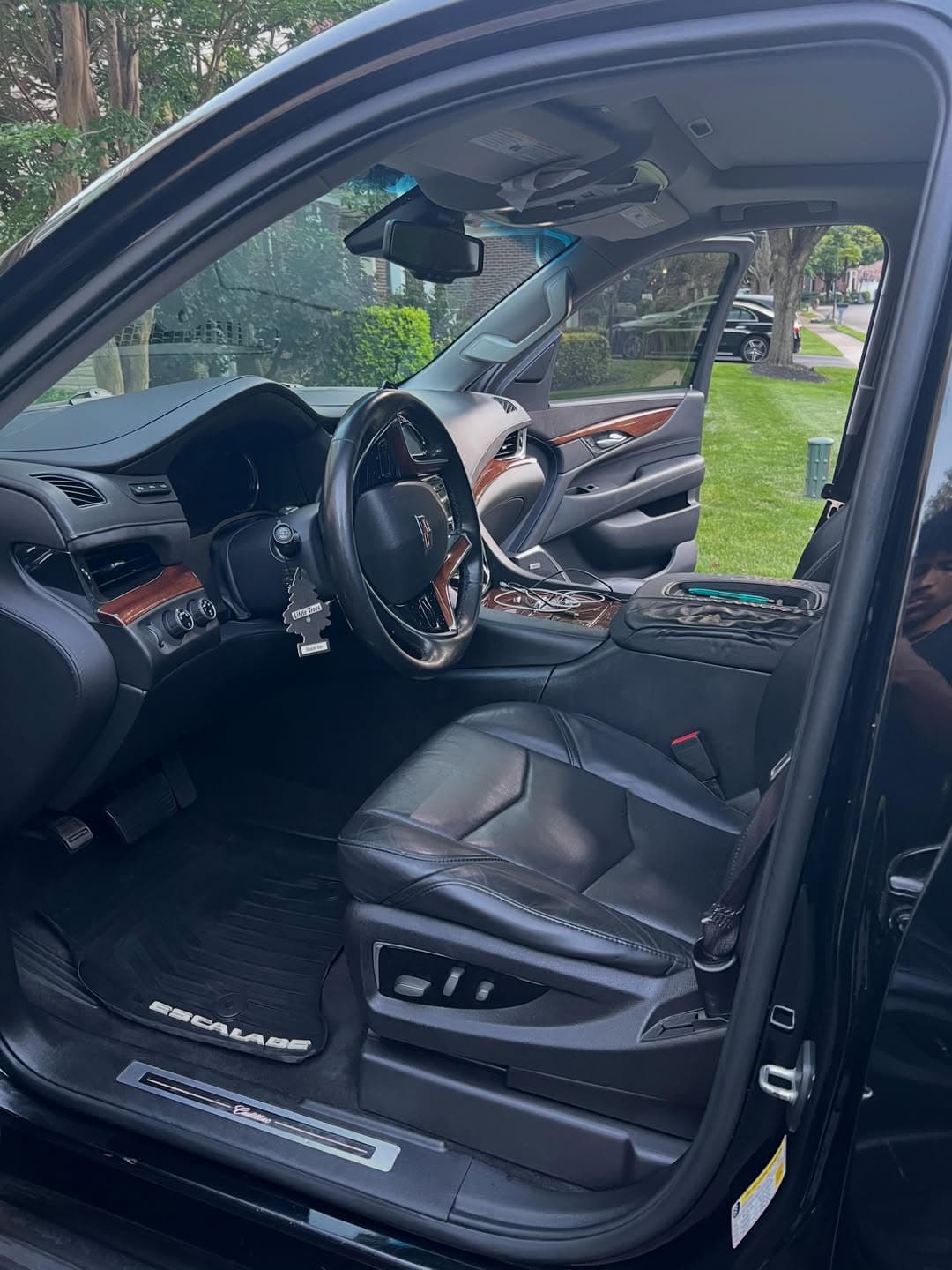 Professional detailing work